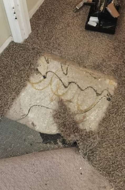 Damaged carpet with exposed padding during the carpet repair and replacement process in a residential home.