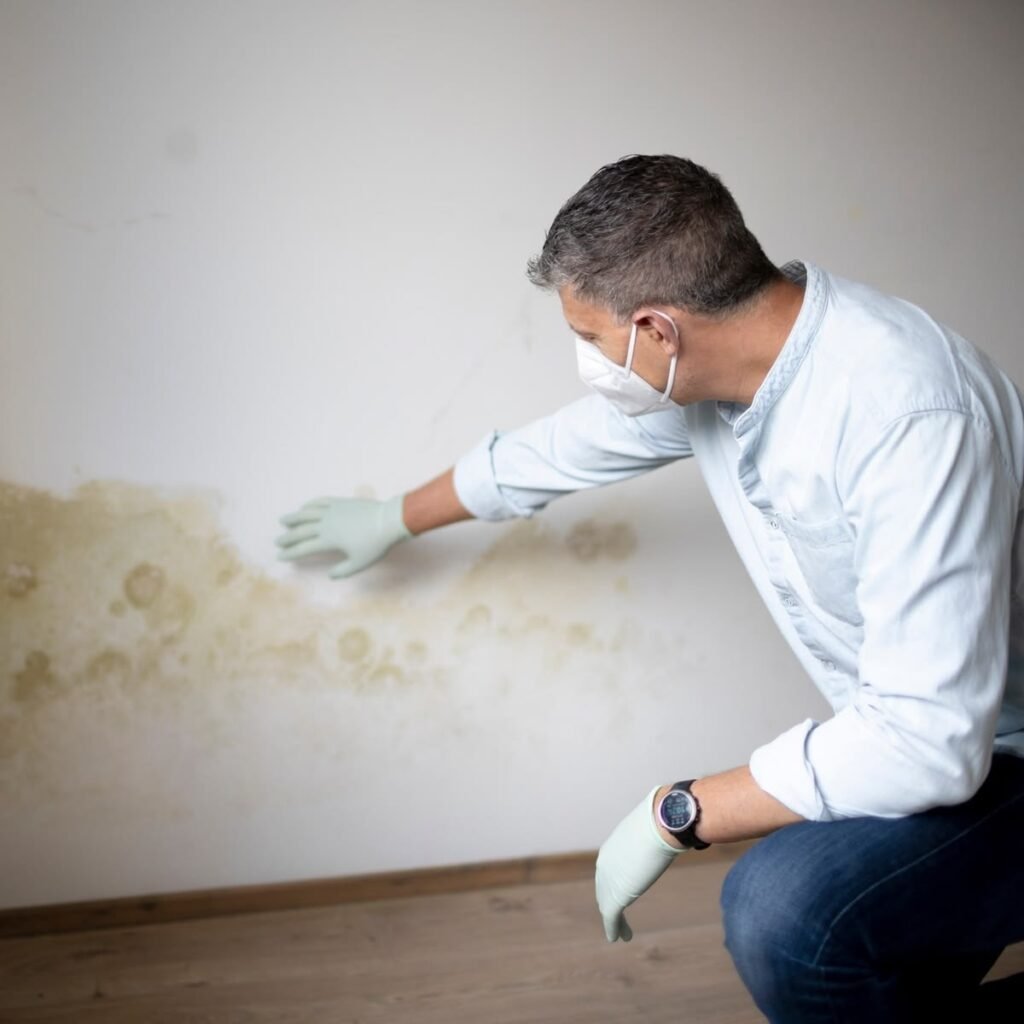 Technician inspecting mould growth on wall after water damage