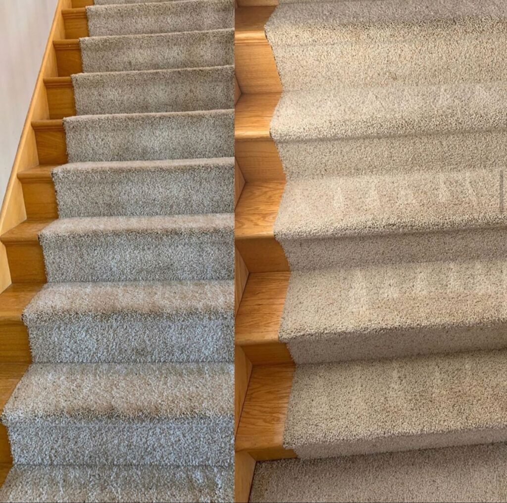 Before and after professional carpet cleaning on staircase showing restored clean carpet