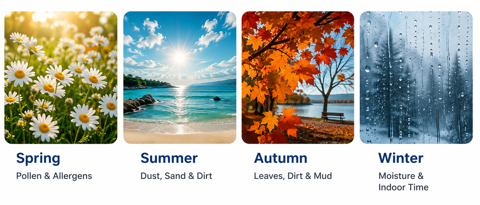 Seasonal carpet cleaning factors in Melbourne showing spring pollen and allergens, summer dust and sand, autumn leaves and mud, and winter moisture.