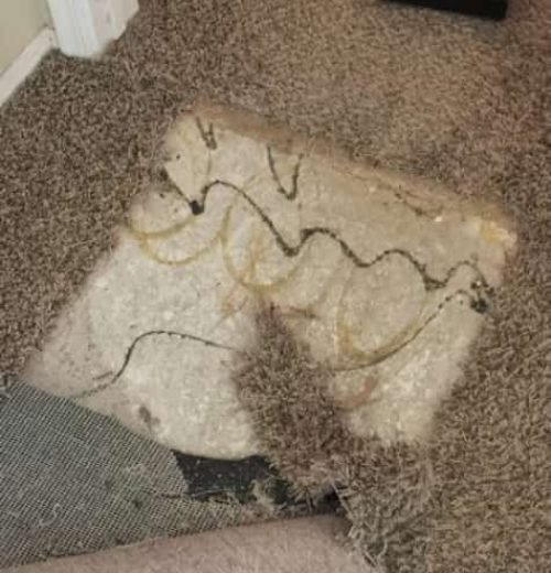 Damaged carpet with exposed padding during the carpet repair and replacement process in a residential home.